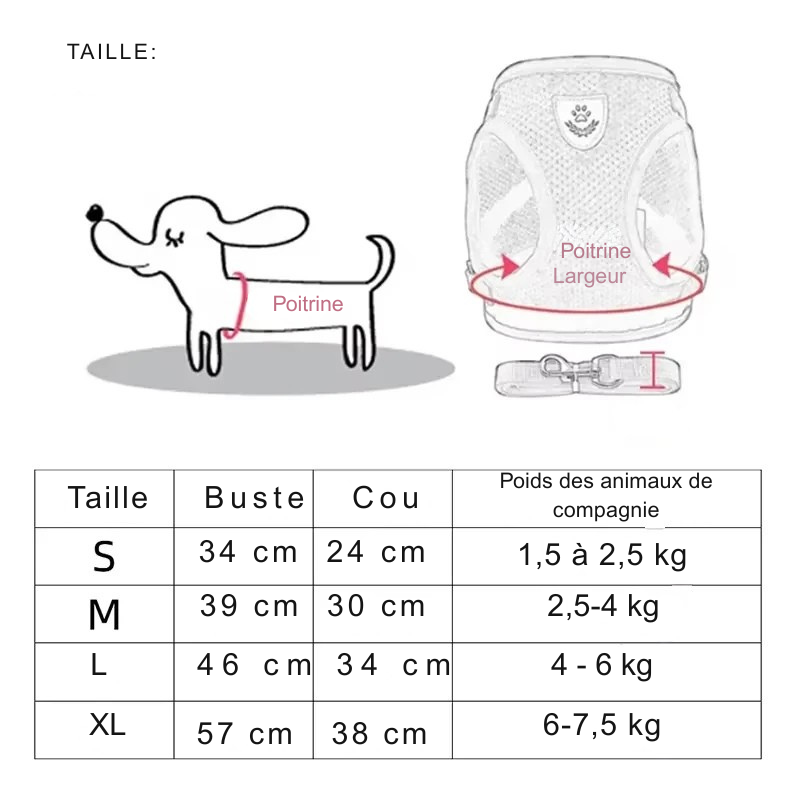 Texte ALT recommandé : "Guide des tailles de harnais pour chat : tableau de mesures et instructions pour mesurer la poitrine et le cou d'un chat.