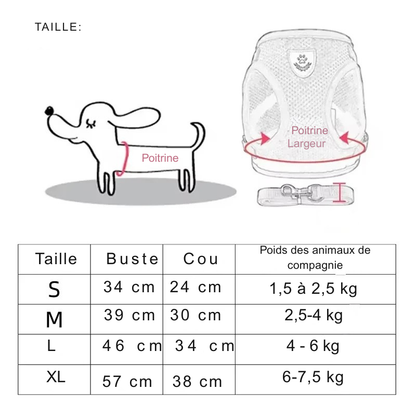 Texte ALT recommandé : "Guide des tailles de harnais pour chat : tableau de mesures et instructions pour mesurer la poitrine et le cou d'un chat.