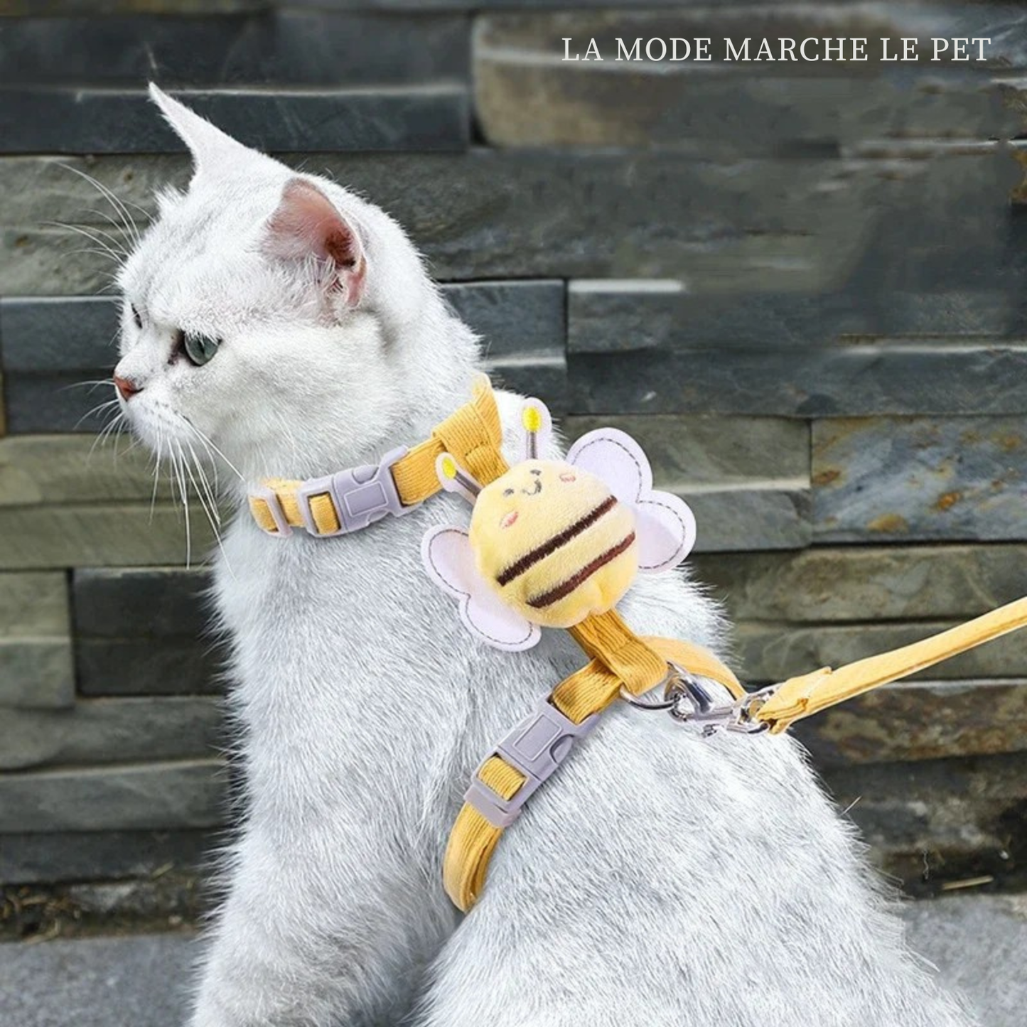 Un chat blanc portant un harnais pour chat jaune moutarde avec une mignonne peluche d'abeille et une laisse assortie. Harnais chaton réglable avec boucles de sécurité. Harnais chat élégant pour les promenades.