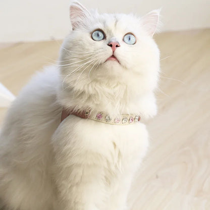 Portrait d'un chat blanc portant un harnais pour chat de luxe rose poudré serti de cristaux étincelants. Ce harnais chat de créateur allie élégance et confort pour sublimer votre animal. Un harnais en cuir premium Maychan Fashion idéal pour les chats d'intérieur raffinés