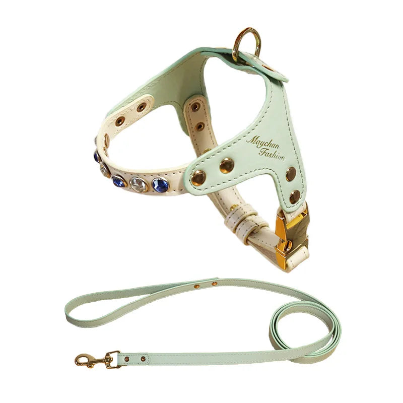 Vue studio d'un harnais pour chat de luxe vert menthe 'Maychan Fashion' serti de cristaux bleus et dorés. Ce harnais chat élégant en cuir premium dispose de boucles dorées robustes et d'une laisse assortie coordonnée. Un harnais de créateur alliant sécurité et haute couture pour les propriétaires d'animaux les plus exigeants.