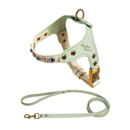 Présentation multi-couleurs d'un harnais pour chat en maille respirante avec laisse assortie coordonnée. La photo montre un chat tigré portant le modèle bleu, accompagné de 8 variantes colorées : rouge, noir, rose, orange et vert. Ce harnais chat ergonomique possède un logo réfléchissant de sécurité et une structure légère idéale pour le confort. Un harnais de qualité premium pour toutes les races de chats.