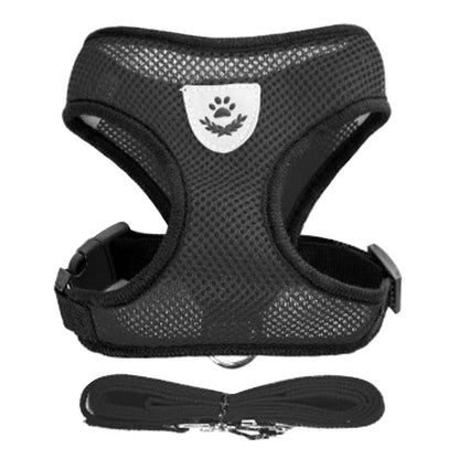 Vue studio d'un harnais pour chat noir en maille respirante avec laisse assortie incluse. Ce harnais chat ergonomique et anti-évasion possède un logo réfléchissant de sécurité et une boucle robuste pour un maintien optimal. Un harnais léger et confortable de qualité premium pour toutes les sorties quotidiennes.