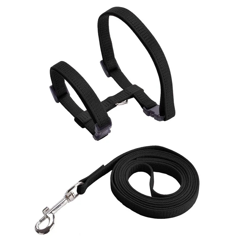 Ensemble harnais pour chat noir en nylon tressé avec laisse assortie et mousqueton métallique chromé. Ce harnais chat de type H ajustable est équipé de boucles clipsables rapides pour une sécurité anti-évasion. Un kit de promenade harnais animaux léger, discret et robuste, offrant une résistance maximale et un confort optimal pour votre félin.