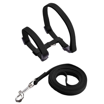 Ensemble harnais pour chat noir en nylon tressé avec laisse assortie et mousqueton métallique chromé. Ce harnais chat de type H ajustable est équipé de boucles clipsables rapides pour une sécurité anti-évasion. Un kit de promenade harnais animaux léger, discret et robuste, offrant une résistance maximale et un confort optimal pour votre félin.