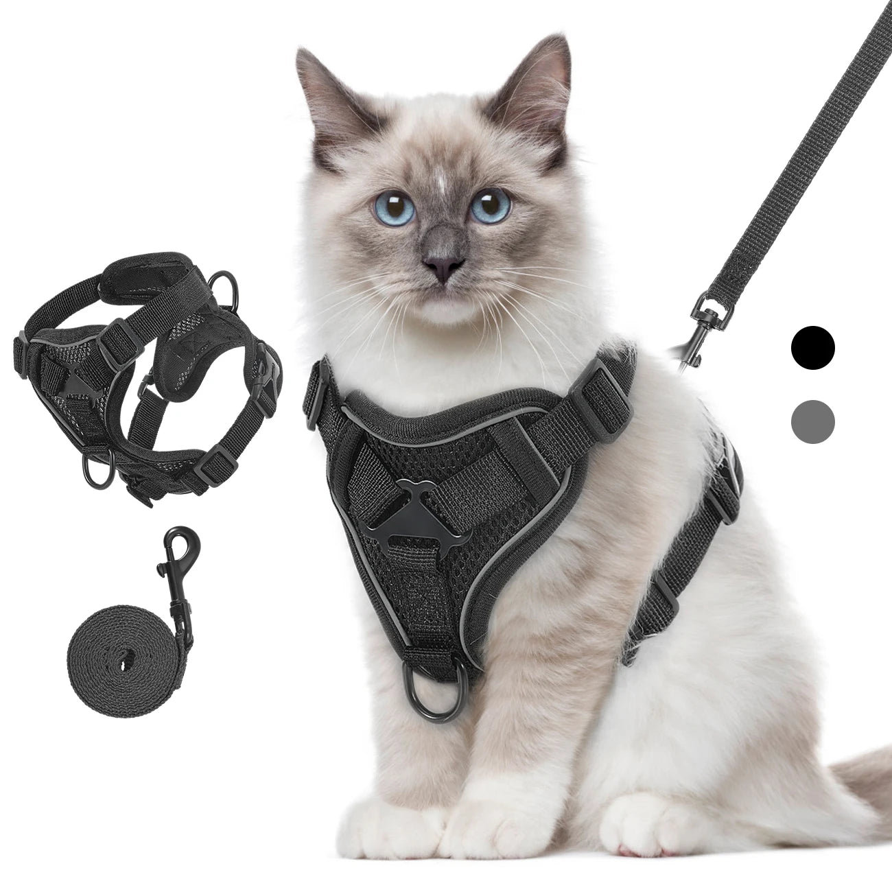 Chat de race portant un harnais pour chat noir en maille mesh respirante. Le visuel présente ce harnais chat ajustable avec bandes réfléchissantes, sa laisse assortie et un zoom technique sur la structure ergonomique. Un modèle de harnais animaux professionnel, anti-évasion et sécurisé pour une promenade confortable.