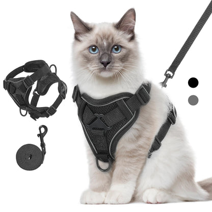 Chat de race portant un harnais pour chat noir en maille mesh respirante. Le visuel présente ce harnais chat ajustable avec bandes réfléchissantes, sa laisse assortie et un zoom technique sur la structure ergonomique. Un modèle de harnais animaux professionnel, anti-évasion et sécurisé pour une promenade confortable.