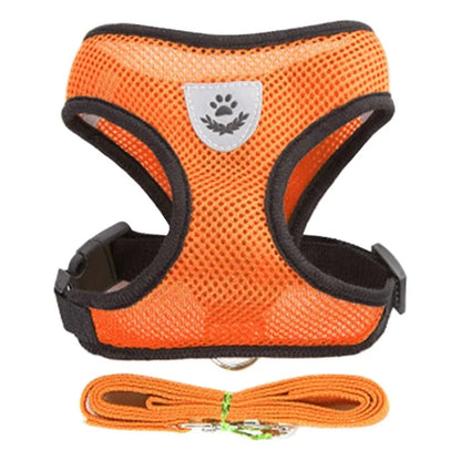 Vue studio d'un harnais pour chat orange en maille respirante avec laisse assortie incluse. Ce harnais chat ergonomique et anti-évasion possède un logo réfléchissant de sécurité et une boucle robuste pour un maintien optimal. Un harnais léger et confortable de haute visibilité pour toutes les sorties quotidiennes.