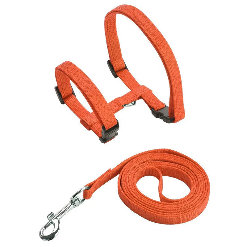 Ensemble harnais pour chat orange en nylon avec laisse assortie et mousqueton métallique chromé. Ce harnais chat de type H ajustable possède des boucles clipsables rapides pour une sécurité anti-évasion optimale. Un kit de promenade harnais animaux léger, robuste et haute visibilité, idéal pour repérer votre félin facilement tout en assurant un confort anti-traction