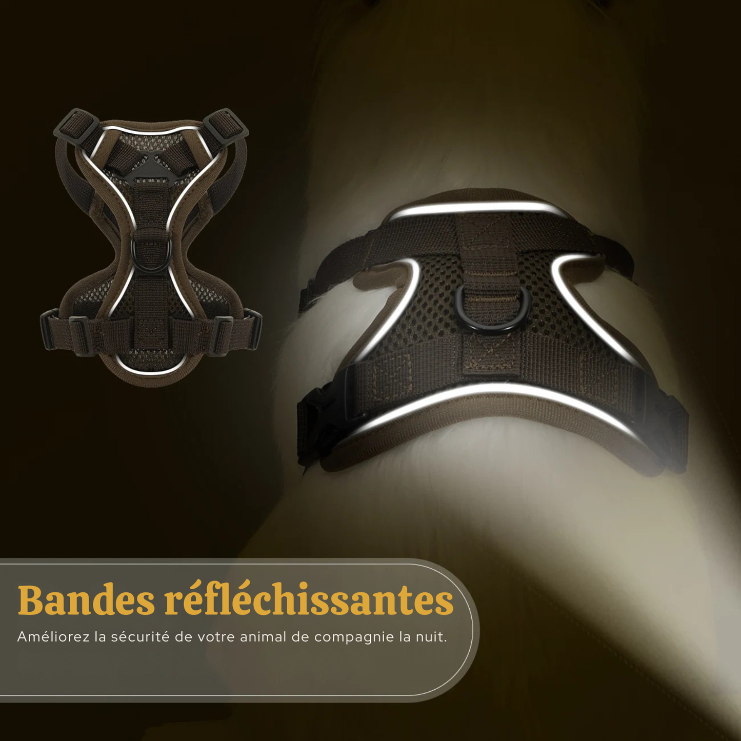 Démonstration des bandes réfléchissantes d'un harnais pour chat marron en condition nocturne. Le visuel montre comment ce harnais chat haute visibilité brille sous un faisceau lumineux pour sécuriser les balades. Un accessoire harnais animaux en maille respirante avec double attache, conçu pour protéger votre animal lors des promenades la nuit.