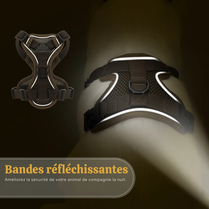 Démonstration des bandes réfléchissantes d'un harnais pour chat marron en condition nocturne. Le visuel montre comment ce harnais chat haute visibilité brille sous un faisceau lumineux pour sécuriser les balades. Un accessoire harnais animaux en maille respirante avec double attache, conçu pour protéger votre animal lors des promenades la nuit.