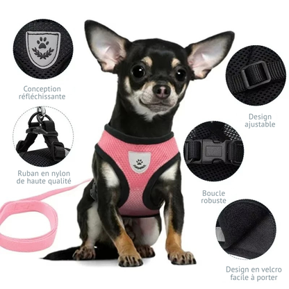 Infographie technique d'un harnais pour chat rose en maille respirante, détaillant la conception réfléchissante, le ruban en nylon de haute qualité, la boucle robuste, le design ajustable et la fermeture velcro facile à porter. Ce harnais ergonomique assure une sécurité optimale lors des promenades grâce à sa structure légère et ses points de fixation renforcés. Un équipement de qualité, parfaitement adapté à la morphologie féline pour un maintien confortable avec ce harnais chat professionnel.