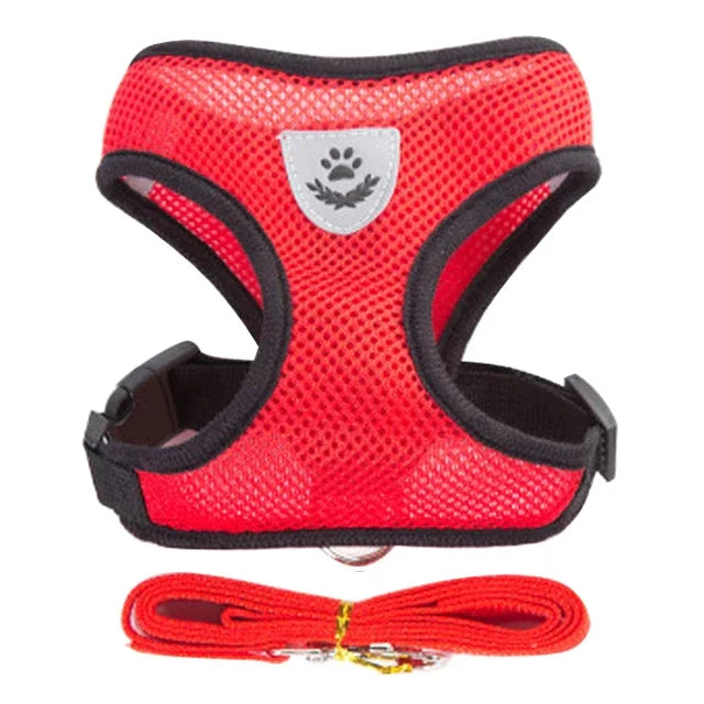 Vue studio d'un harnais pour chat rouge en maille respirante avec laisse assortie incluse. Ce harnais chat ergonomique et anti-évasion possède un logo réfléchissant de sécurité et une boucle robuste pour un maintien optimal. Un harnais léger et confortable de haute visibilité pour toutes les sorties quotidiennes.
