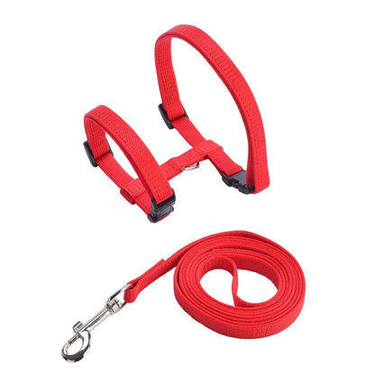Ensemble harnais pour chat rouge en nylon tressé avec laisse assortie et mousqueton métallique pivotant. Ce harnais chat de type H ajustable possède deux boucles clipsables rapides pour une sécurité anti-évasion. Un kit de promenade harnais animaux léger et robuste, offrant une haute visibilité et un confort optimal pour votre félin lors de ses sorties.
