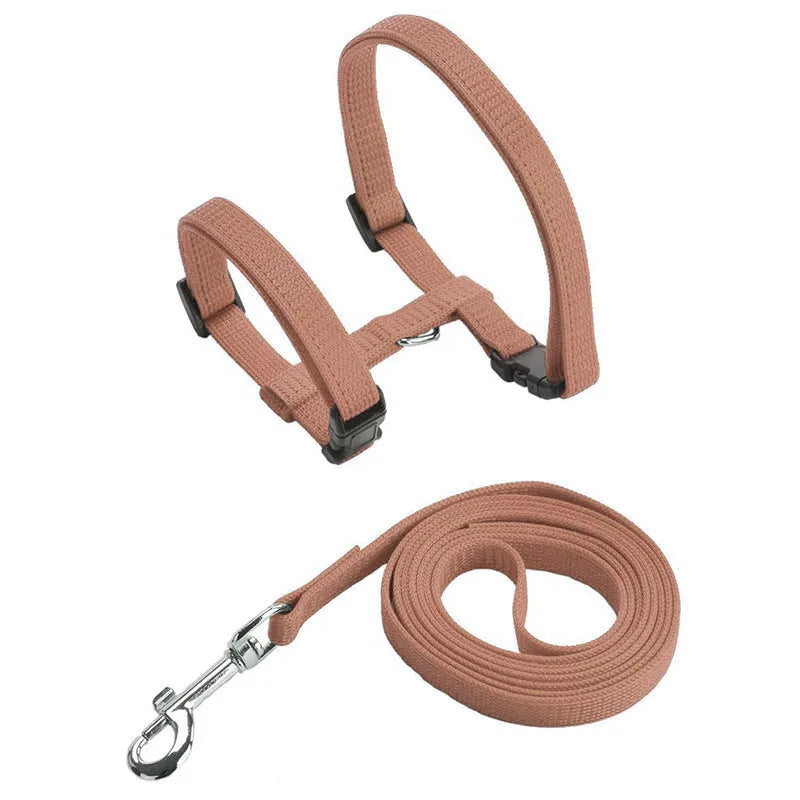 Ensemble harnais pour chat vieux rose terracotta en nylon avec laisse assortie et mousqueton métallique chromé. Ce harnais chat de type H ajustable possède des boucles clipsables rapides pour une sécurité anti-évasion optimale. Un kit de promenade harnais animaux léger, robuste et au design élégant, idéal pour assurer un confort anti-traction et une discrétion chic en extérieur.