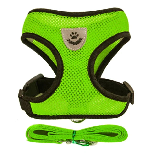 Vue studio d'un harnais pour chat vert fluo en maille respirante avec laisse assortie incluse. Ce harnais chat ergonomique et anti-évasion possède un logo réfléchissant de sécurité et une boucle robuste pour un maintien optimal. Un harnais léger et confortable de haute visibilité pour toutes les sorties quotidiennes.
