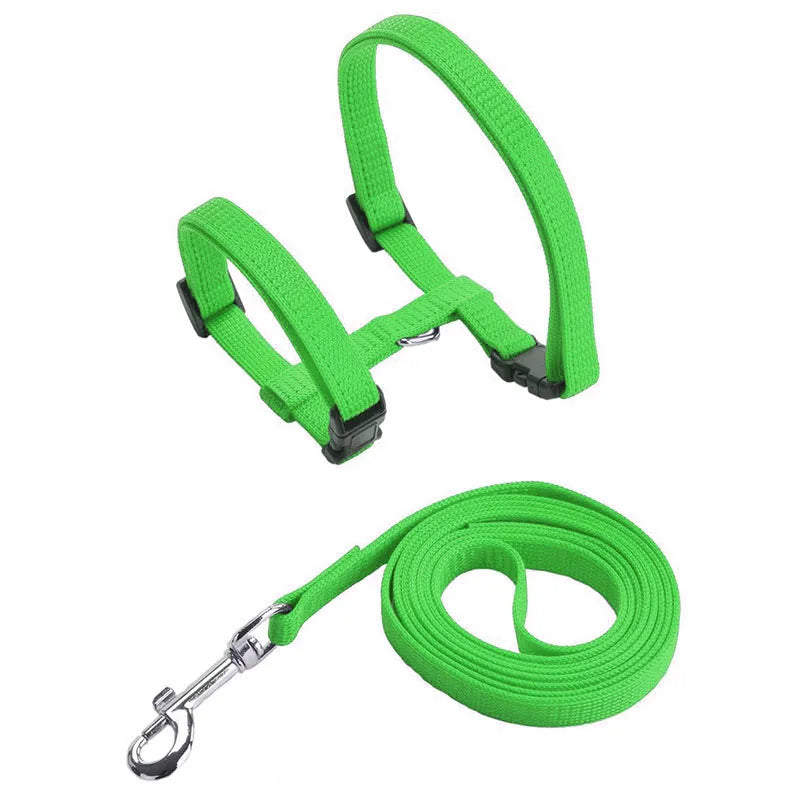 Ensemble harnais pour chat vert pomme en nylon avec laisse assortie et mousqueton métallique chromé. Ce harnais chat de type H ajustable possède des boucles clipsables rapides pour une sécurité anti-évasion. Un kit de promenade harnais animaux léger, robuste et haute visibilité, idéal pour repérer votre félin facilement en extérieur tout en assurant un confort anti-traction.