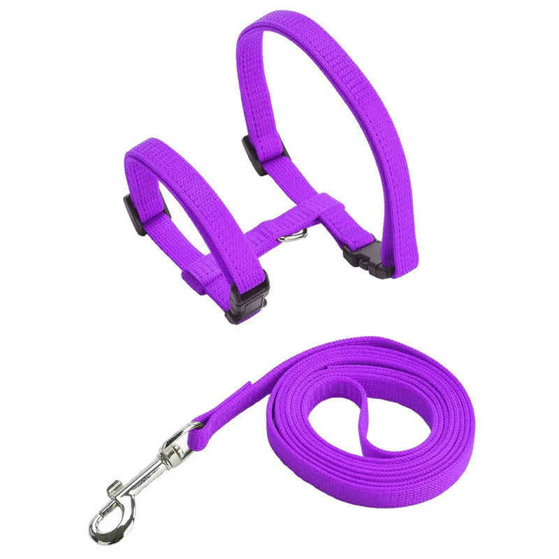 Ensemble harnais pour chat violet en nylon avec laisse assortie et mousqueton chromé. Ce harnais chat de type H ajustable possède des boucles de sécurité rapides pour une promenade sans stress. Un kit de promenade harnais animaux léger, robuste et esthétique, offrant un maintien anti-traction et une sécurité anti-évasion pour votre animal.