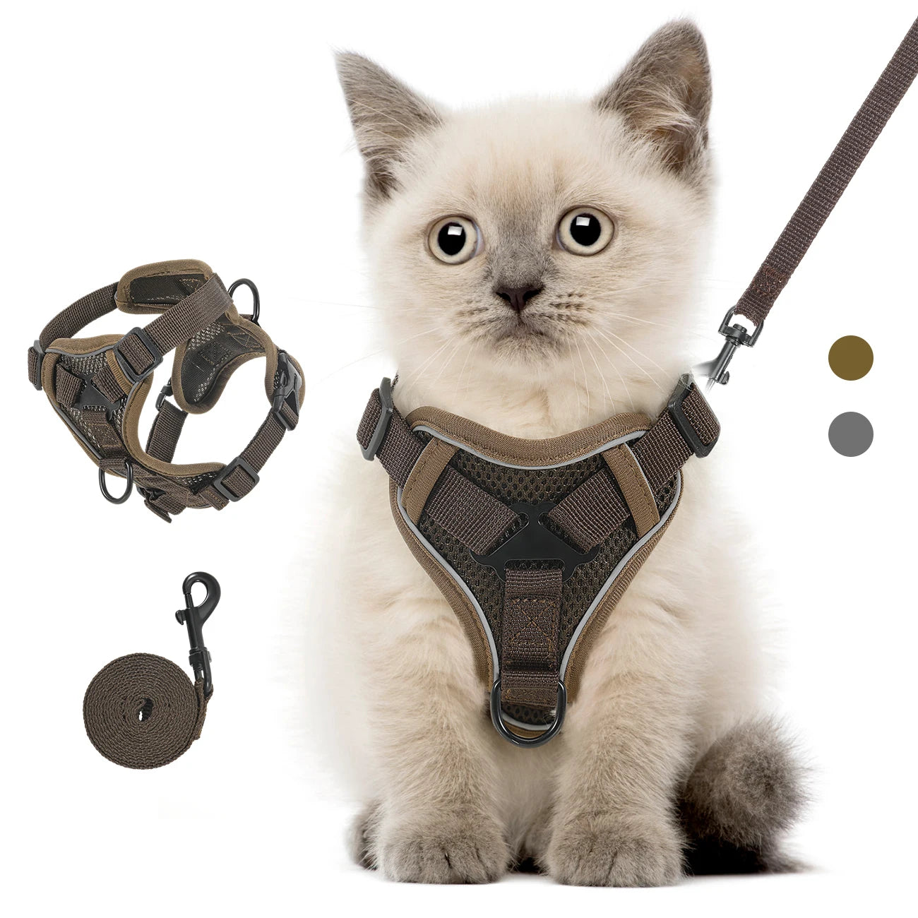 Chaton portant un harnais pour chat marron en maille mesh respirante avec bandes réfléchissantes. Ce harnais chat ajustable est présenté avec sa laisse assortie et un zoom technique sur sa structure anti-traction. Un modèle de harnais animaux sécurisé avec double attache, idéal pour une promenade confortable et anti-évasion.
