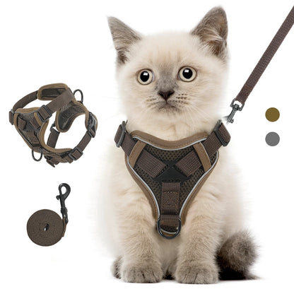 Chaton portant un harnais pour chat marron en maille mesh respirante avec bandes réfléchissantes. Ce harnais chat ajustable est présenté avec sa laisse assortie et un zoom technique sur sa structure anti-traction. Un modèle de harnais animaux sécurisé avec double attache, idéal pour une promenade confortable et anti-évasion.