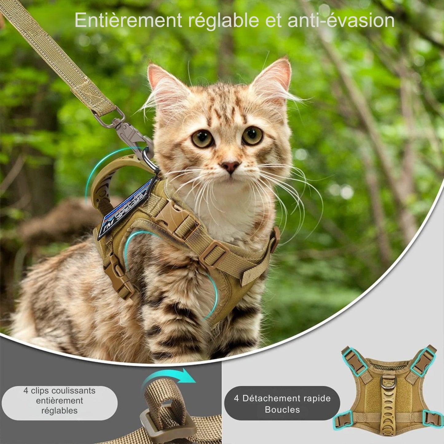 Harnais tactique beige pour chat, entièrement réglable et anti-évasion, présenté avec une laisse attachée et des détails sur les 4 boucles à détachement rapide. La conception robuste avec clips coulissants en fait le support de sécurité idéal pour fixer un collier gps pour chaton lors de randonnées en forêt. Un équipement professionnel garantissant le maintien de votre collier gps pour une surveillance sans faille grâce à ce collier gps chat de style militaire.