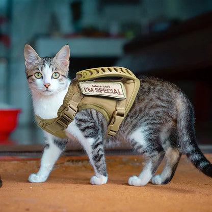 Chat tigré portant un harnais tactique beige avec poignée intégrée et un écusson « MAMA SAYS I'M SPECIAL ». Ce gilet robuste permet de fixer facilement un collier gps chat pour sécuriser les sorties en extérieur. Grâce à sa conception ajustable et légère, c'est un excellent complément à un collier gps pour chaton, offrant un contrôle et une sécurité totale avec ce support pour collier gps de style militaire.