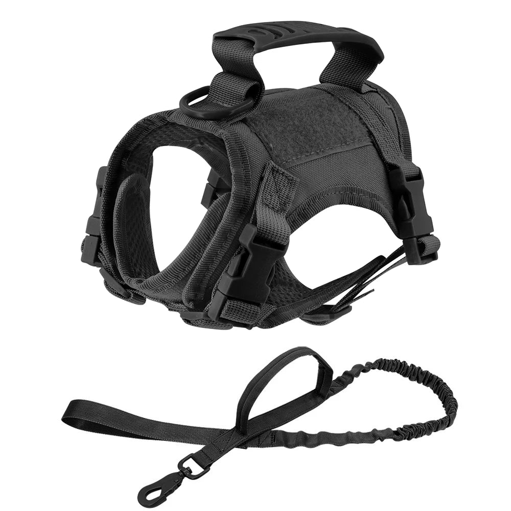 Ensemble de sécurité comprenant un harnais tactique noir robuste et une laisse élastique assortie avec poignée de contrôle. Le harnais, doté d'une doublure respirante et d'un anneau de fixation métallique, constitue le support de maintien idéal pour fixer un collier gps pour chaton lors de sorties en extérieur. Garantissez la sécurité de votre animal et la stabilité de votre collier gps avec cet équipement professionnel, parfaitement adapté pour accompagner un collier gps chat.