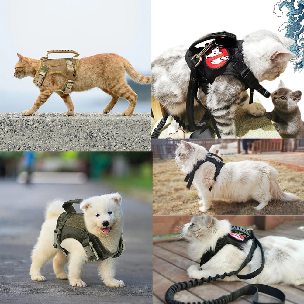 Galerie de photos montrant des chats et un petit chien portant un harnais tactique robuste en extérieur. Idéal pour stabiliser un collier gps chat, ce gilet anti-évasion avec poignée de contrôle assure une sécurité maximale lors des promenades. Sa légèreté et son ajustement précis en font le complément parfait d'un collier gps pour chaton, permettant un suivi serein avec votre collier gps habituel.