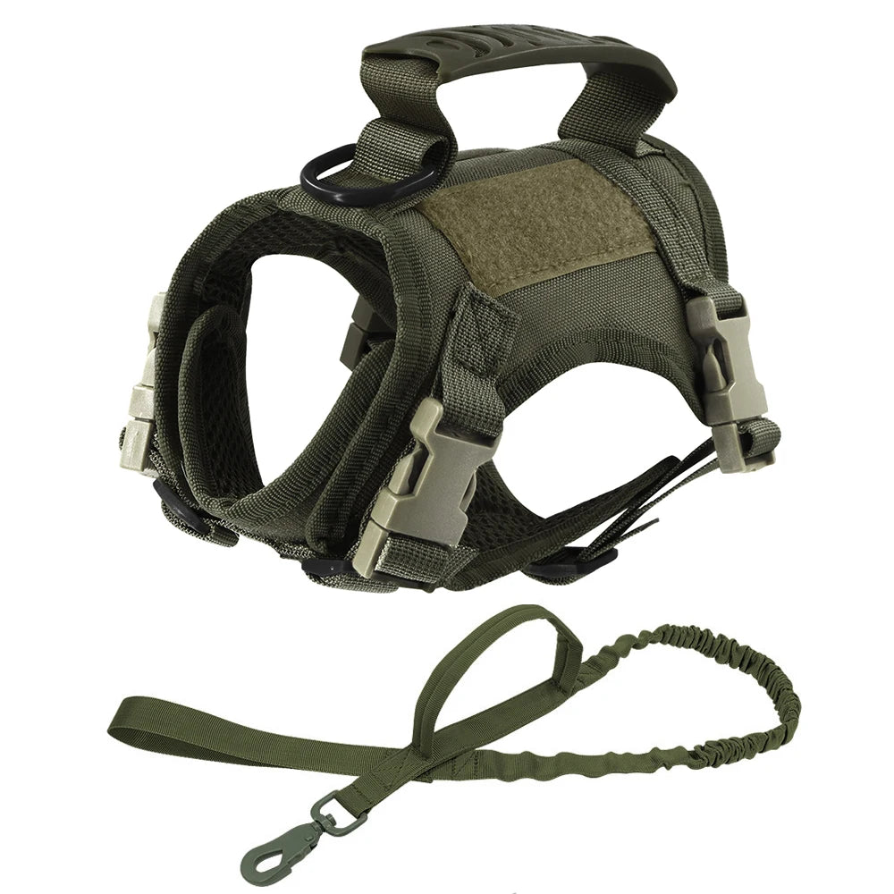 Ensemble de randonnée comprenant un harnais tactique vert armée robuste et une laisse élastique assortie avec poignée de contrôle. Le harnais, doté d'une poignée de préhension supérieure et d'un anneau métallique, constitue le support de maintien idéal pour fixer un collier gps pour chaton lors de sorties en extérieur. Garantissez la sécurité de votre animal et la stabilité de votre collier gps avec cet équipement anti-évasion professionnel, parfaitement adapté pour accompagner un collier gps chat.