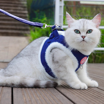 Chat blanc aux yeux bleus portant un harnais en velours côtelé bleu roi avec des bordures blanches en peluche douce, présenté assis sur une terrasse avec sa laisse assortie. Ce gilet molletonné est le support de confort idéal pour placer un collier gps pour chaton tout en protégeant son pelage délicat. Assurez le bien-être de votre animal avec ce harnais élégant, parfaitement compatible avec l'usage d'un collier gps chat pour des promenades sereines grâce à ce support de collier gps haut de gamme.