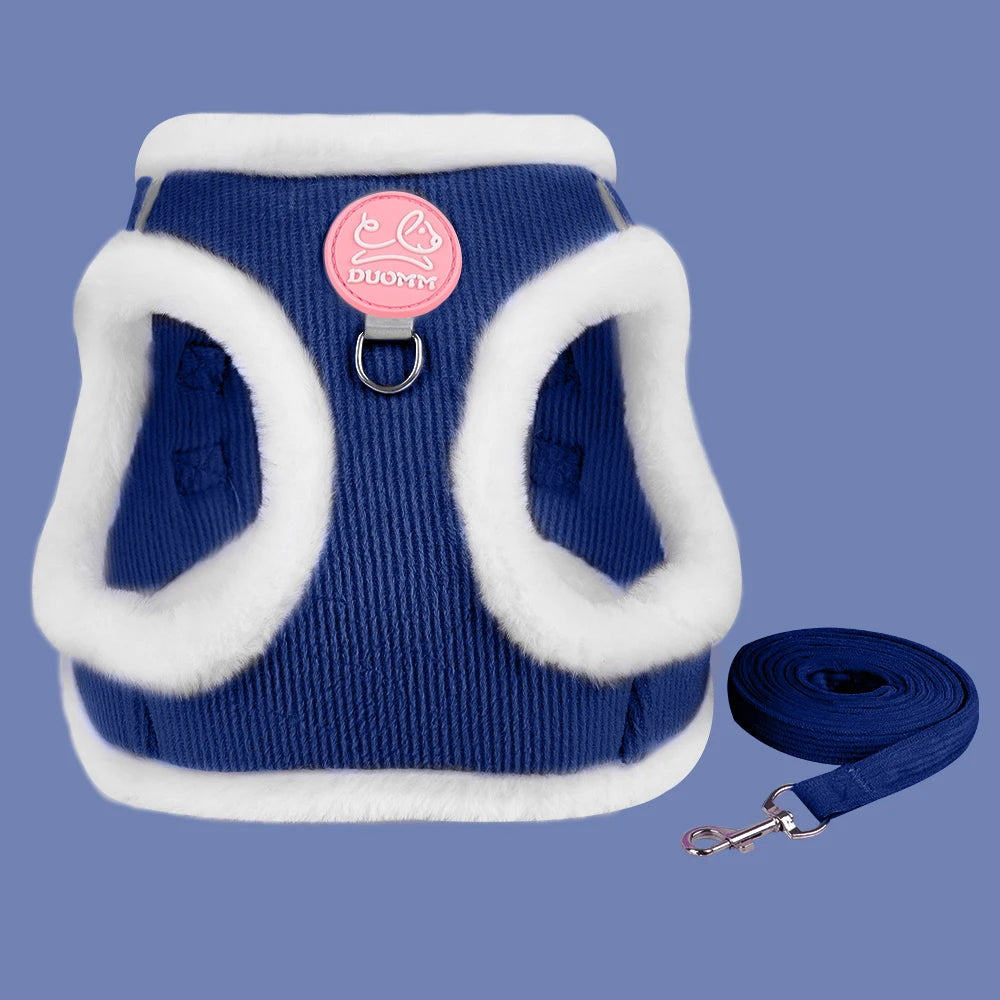 Harnais pour chat en velours côtelé bleu roi avec bordures blanches en peluche douce, présenté à plat avec sa laisse assortie sur un fond bleu. Ce gilet molletonné est le support de confort idéal pour placer un collier gps pour chaton tout en protégeant son pelage délicat. Assurez le bien-être de votre animal avec ce harnais élégant, parfaitement compatible avec l'usage d'un collier gps chat pour des promenades sereines grâce à ce support de collier gps haut de gamme.