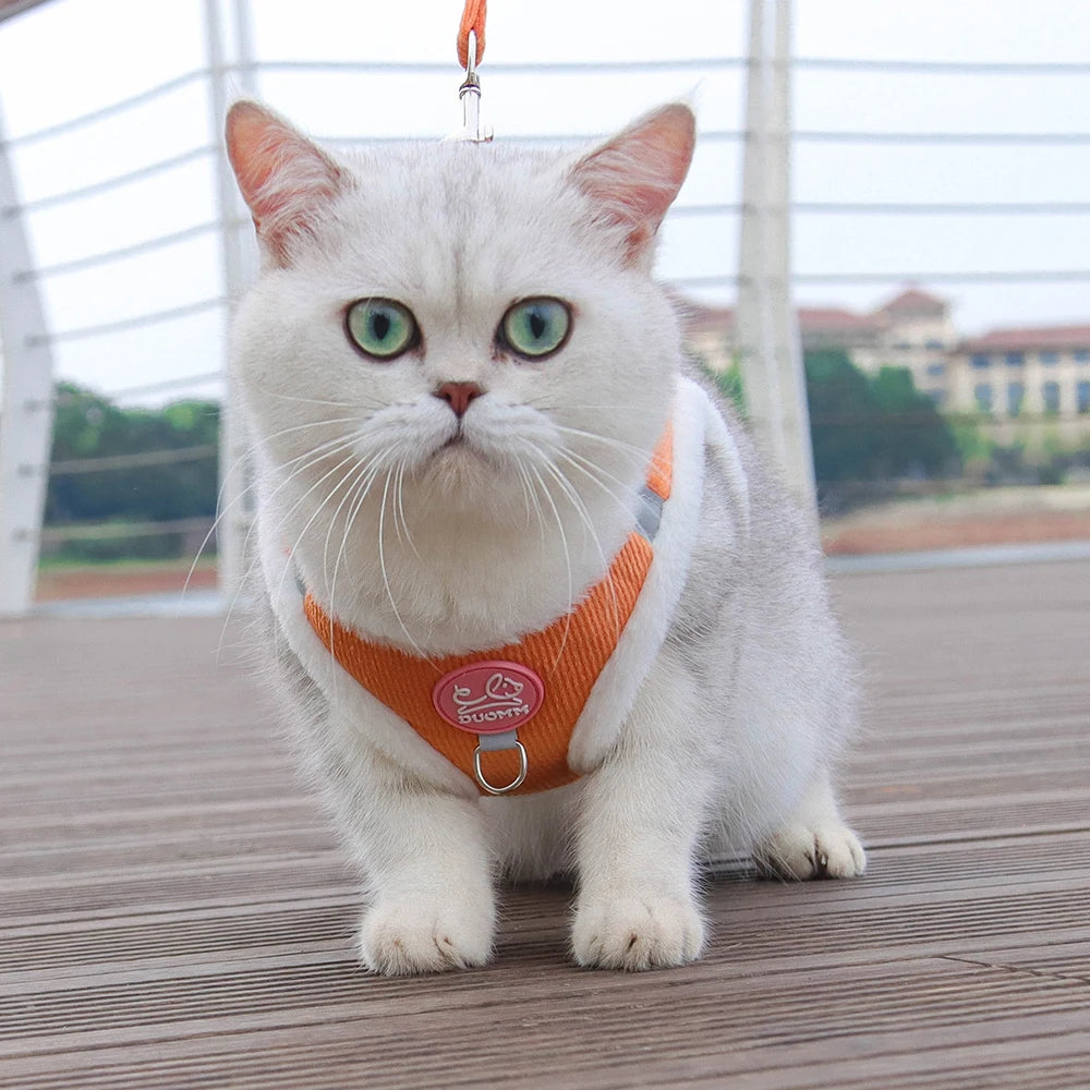 Chat blanc aux yeux verts portant un harnais en velours côtelé orange vif avec des bordures blanches en peluche douce, présenté de face sur une terrasse. Ce gilet molletonné est le support de confort idéal pour placer un collier gps pour chaton tout en protégeant son pelage délicat. Assurez le bien-être de votre animal avec ce harnais élégant, parfaitement compatible avec l'usage d'un collier gps chat pour des promenades sereines grâce à ce support de collier gps haut de gamme.