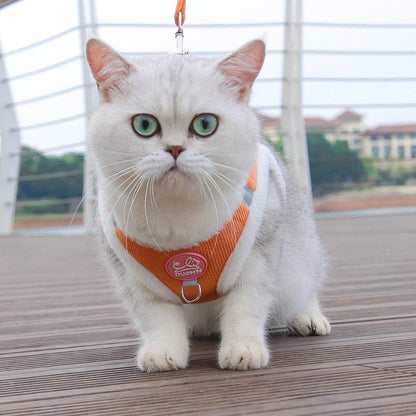 Chat blanc aux yeux verts portant un harnais en velours côtelé orange vif avec des bordures blanches en peluche douce, présenté de face sur une terrasse. Ce gilet molletonné est le support de confort idéal pour placer un collier gps pour chaton tout en protégeant son pelage délicat. Assurez le bien-être de votre animal avec ce harnais élégant, parfaitement compatible avec l'usage d'un collier gps chat pour des promenades sereines grâce à ce support de collier gps haut de gamme.