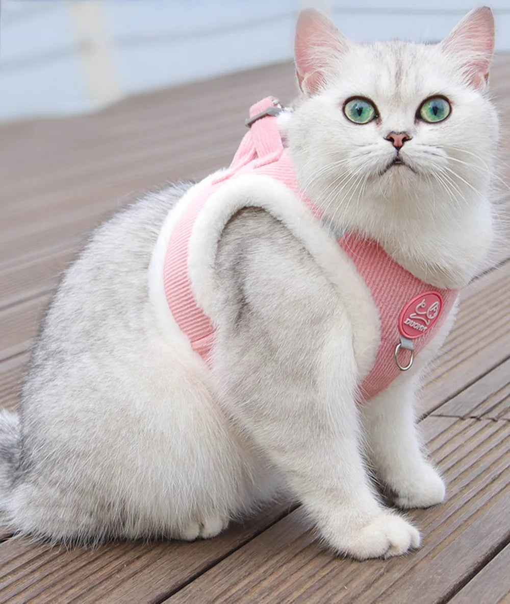 Chat blanc aux yeux verts portant un harnais en velours côtelé rose avec des bordures blanches en peluche douce, présenté en gros plan sur une terrasse en bois. Ce gilet molletonné est le support de confort idéal pour placer un collier gps pour chaton tout en protégeant son pelage délicat. Assurez le bien-être de votre animal avec ce harnais élégant, parfaitement compatible avec l'usage d'un collier gps chat pour des promenades sereines grâce à ce support de collier gps haut de gamme.