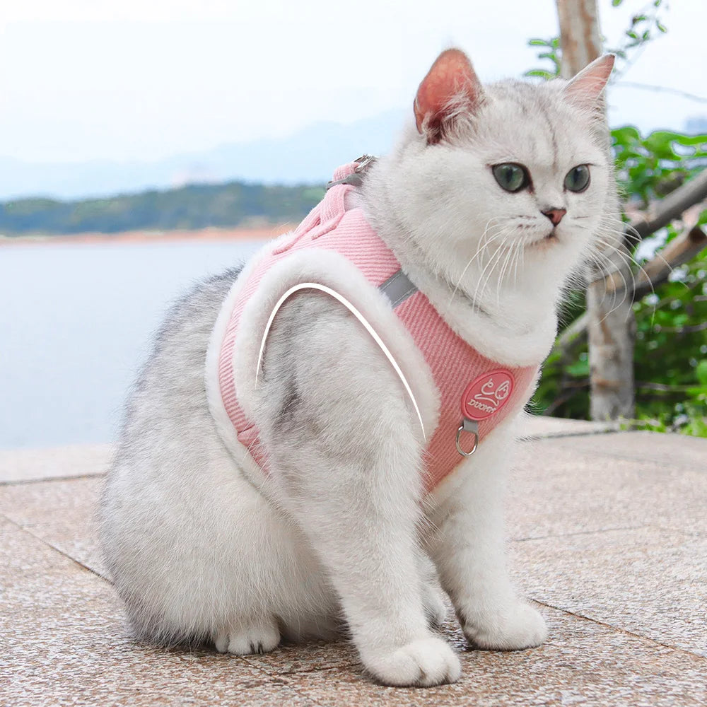 Chat blanc portant un harnais en velours côtelé rose avec des bordures blanches en peluche douce, présenté en gros plan en situation extérieure. Ce gilet molletonné est le support de confort idéal pour placer un collier gps pour chaton tout en protégeant son pelage délicat. Assurez le bien-être de votre animal avec ce harnais élégant, parfaitement compatible avec l'usage d'un collier gps chat pour des promenades sereines grâce à ce support de collier gps haut de gamme.