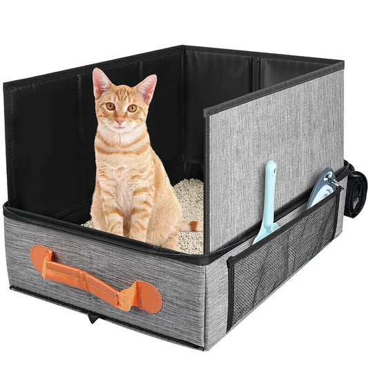 image de la litière à bord haut de voyage avec chat assis dedans