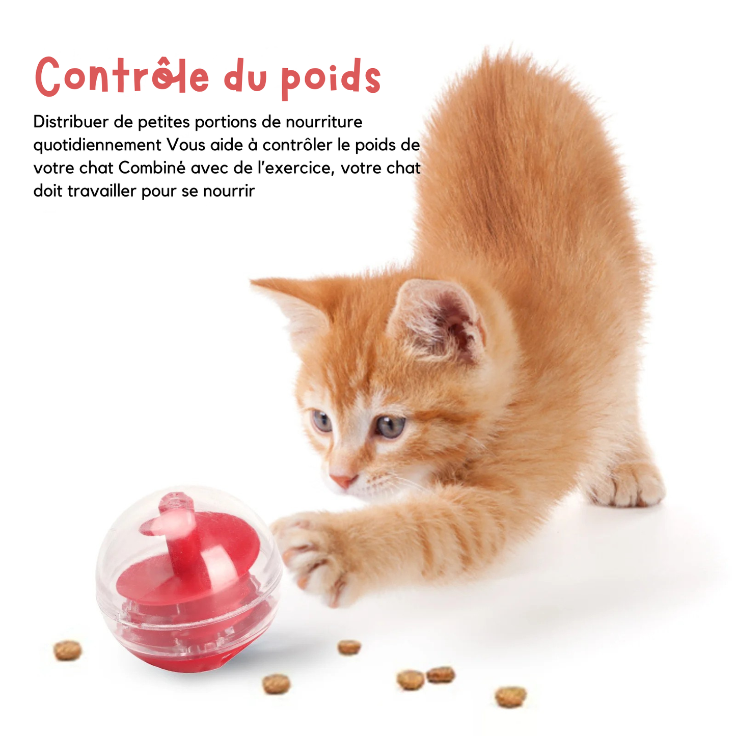 Un chaton roux utilise une balle distributrice de croquettes pour le contrôle du poids. L'image présente ce jouet chat interactif comme une solution pour distribuer de petites portions de nourriture quotidiennement tout en favorisant l'exercice physique. Ce jeux pour chat oblige l'animal à travailler pour se nourrir, ce qui aide à lutter contre l'obésité et l'ennui. Un jouet a chat intelligent et ludique avec système d'hélice interne rouge, parfait pour les chats d'appartement, exclusivement chez Les Trésor