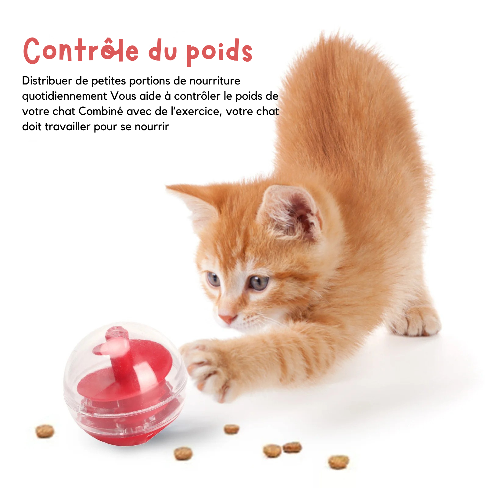 Un chaton roux utilise une balle distributrice de croquettes pour le contrôle du poids. L'image présente ce jouet chat interactif comme une solution pour distribuer de petites portions de nourriture quotidiennement tout en favorisant l'exercice physique. Ce jeux pour chat oblige l'animal à travailler pour se nourrir, ce qui aide à lutter contre l'obésité et l'ennui. Un jouet a chat intelligent et ludique avec système d'hélice interne rouge, parfait pour les chats d'appartement, exclusivement chez Les Trésor