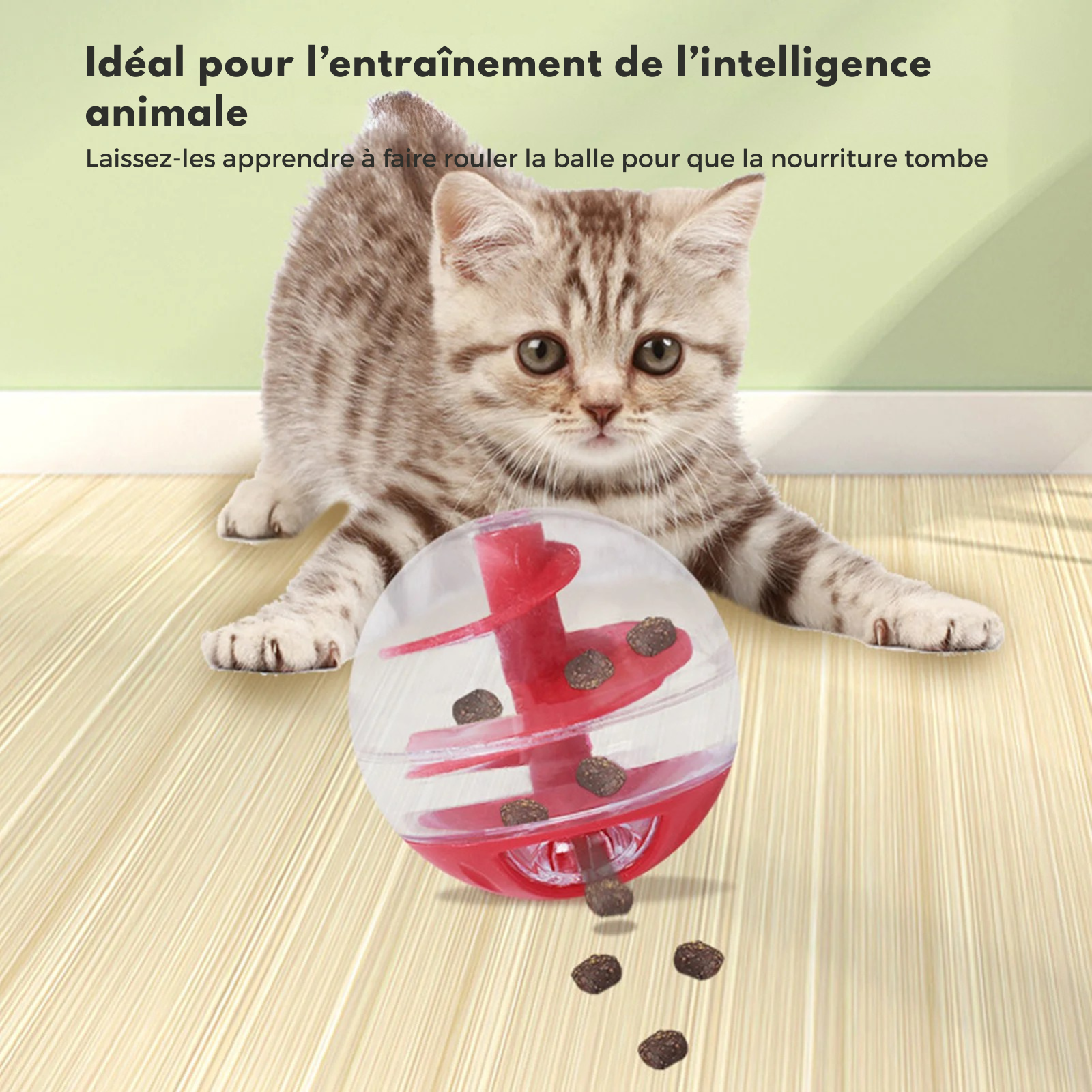 Un chaton tigré joue avec une balle distributrice de croquettes transparente et rouge. L'image illustre ce jouet chat interactif idéal pour l'entraînement de l'intelligence animale en apprenant au félin à faire rouler l'objet pour obtenir sa nourriture. Ce jeux pour chat sophistiqué avec labyrinthe en spirale sert de jouet a chat anti-glouton pour réguler les repas tout en stimulant l'instinct de chasse. Une solution ludique et éducative pour le bien-être et l'occupation des chats en intérieur, signée Les T