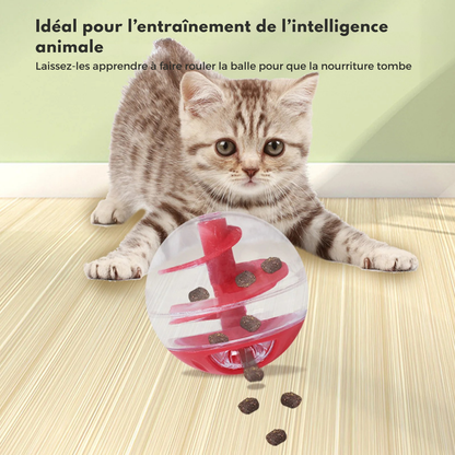 Un chaton tigré joue avec une balle distributrice de croquettes transparente et rouge. L'image illustre ce jouet chat interactif idéal pour l'entraînement de l'intelligence animale en apprenant au félin à faire rouler l'objet pour obtenir sa nourriture. Ce jeux pour chat sophistiqué avec labyrinthe en spirale sert de jouet a chat anti-glouton pour réguler les repas tout en stimulant l'instinct de chasse. Une solution ludique et éducative pour le bien-être et l'occupation des chats en intérieur, signée Les T