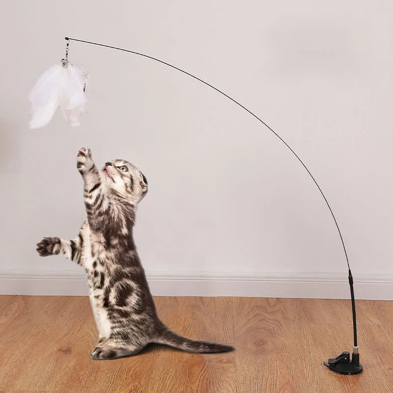 Chat gris tigré debout sur ses pattes arrière essayant d'attraper un plumeau blanc suspendu à une tige ultra-flexible fixée au sol par une ventouse puissante.