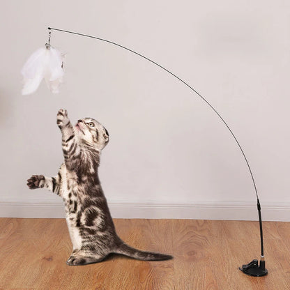 Chat gris tigré debout sur ses pattes arrière essayant d'attraper un plumeau blanc suspendu à une tige ultra-flexible fixée au sol par une ventouse puissante.