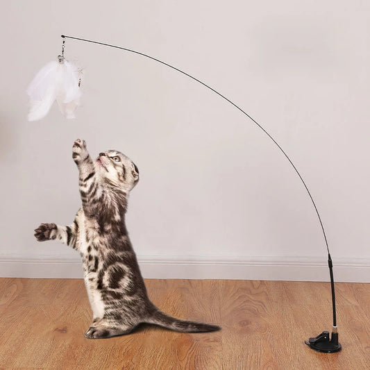 Chat gris tigré debout sur ses pattes arrière essayant d'attraper un plumeau blanc suspendu à une tige ultra-flexible fixée au sol par une ventouse puissante.