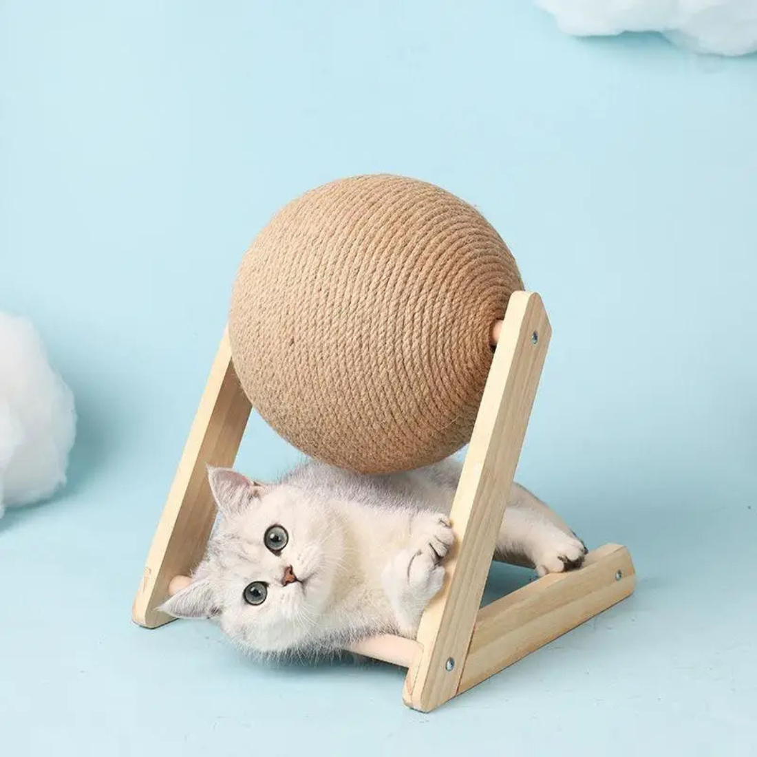Chat blanc jouant sous un jouet griffoir composé d'une boule rotative en corde de chanvre naturel montée sur un support triangulaire stable en bois clair.