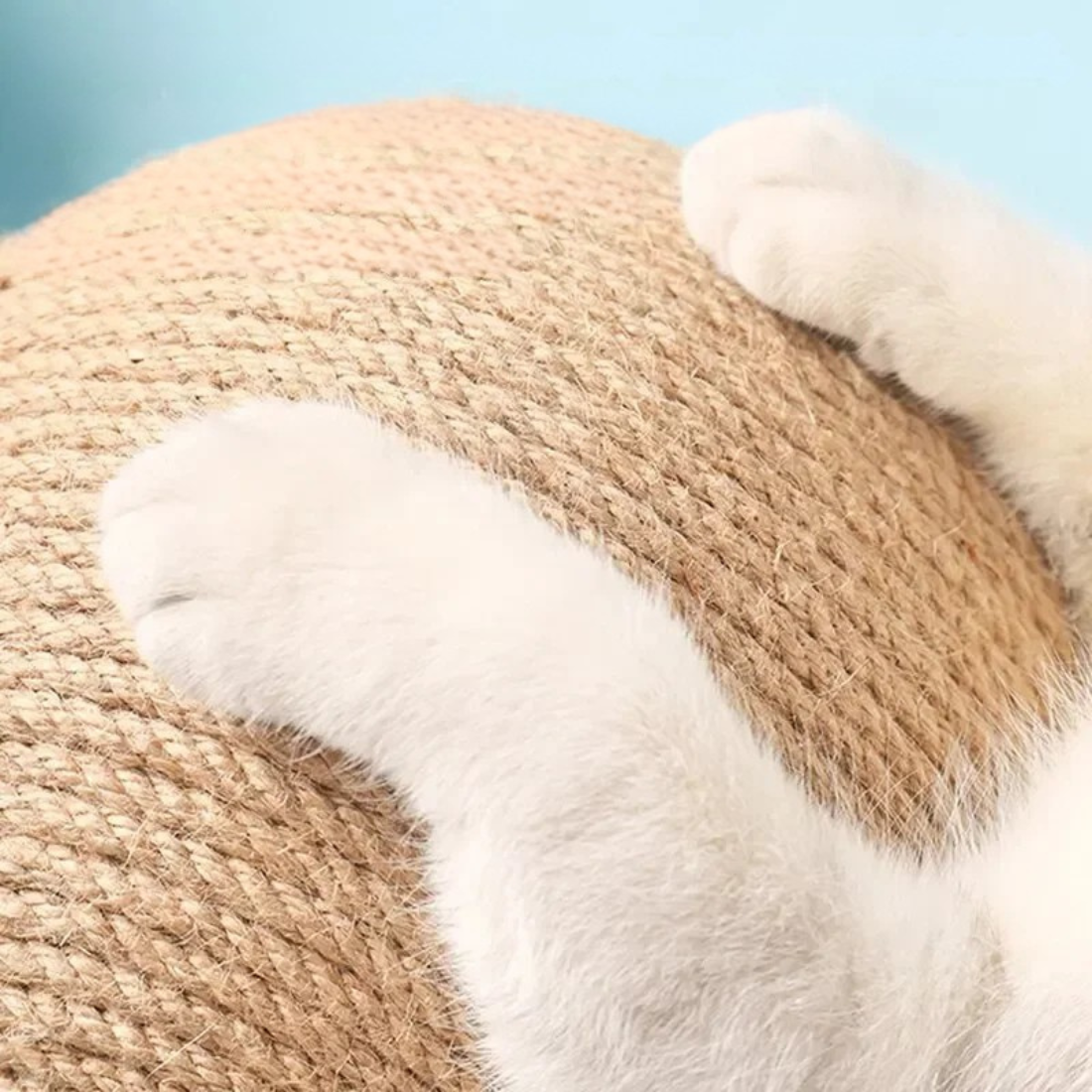 Gros plan des pattes d'un chat blanc utilisant une boule griffoir rotative en corde de chanvre naturel, montée sur un support stable en bois massif pour le jeu et le soin des griffes.