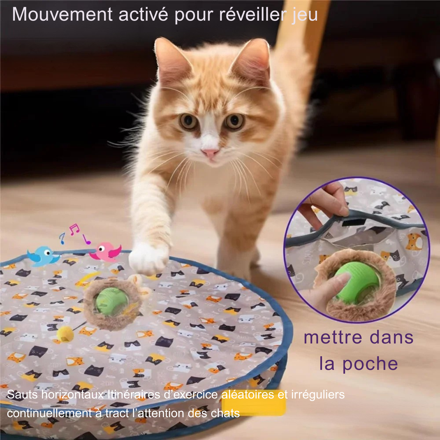 Démonstration du jouet pour chat interactif avec détecteur de mouvement et sons d'oiseaux. Un chaton joue avec ce jouet chat automatique qui s'active d'un coup de patte. L'image montre comment insérer la balle motorisée dans la poche du tapis de jeu de 70 cm. Un accessoire révolutionnaire parmi les jouet animaux pour stimuler l'instinct de chasse avec des trajectoires aléatoires.