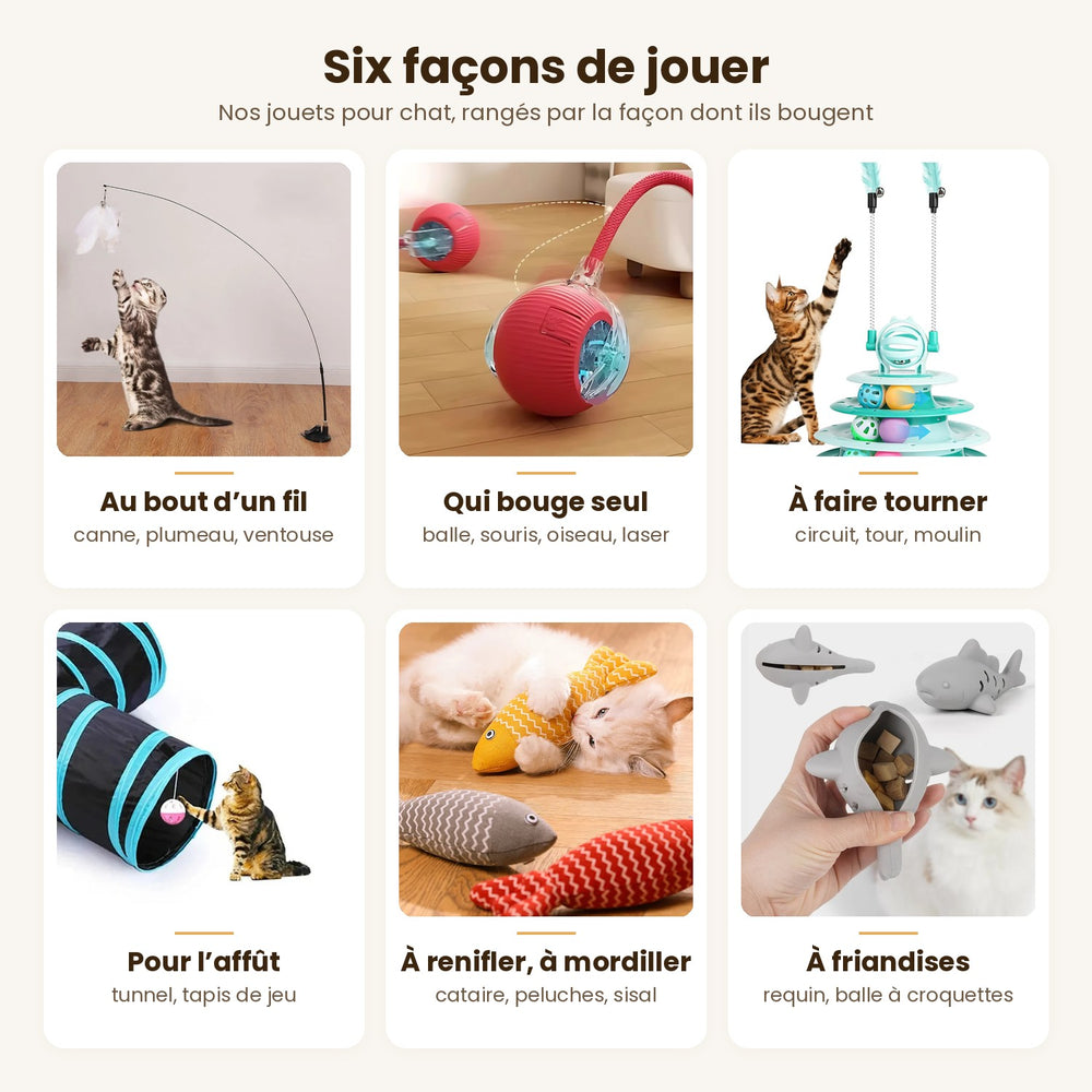 Nos jouets pour chat en six familles : fil, moteur, circuits, affût, cataire et friandises — Les Trésors d'Owka