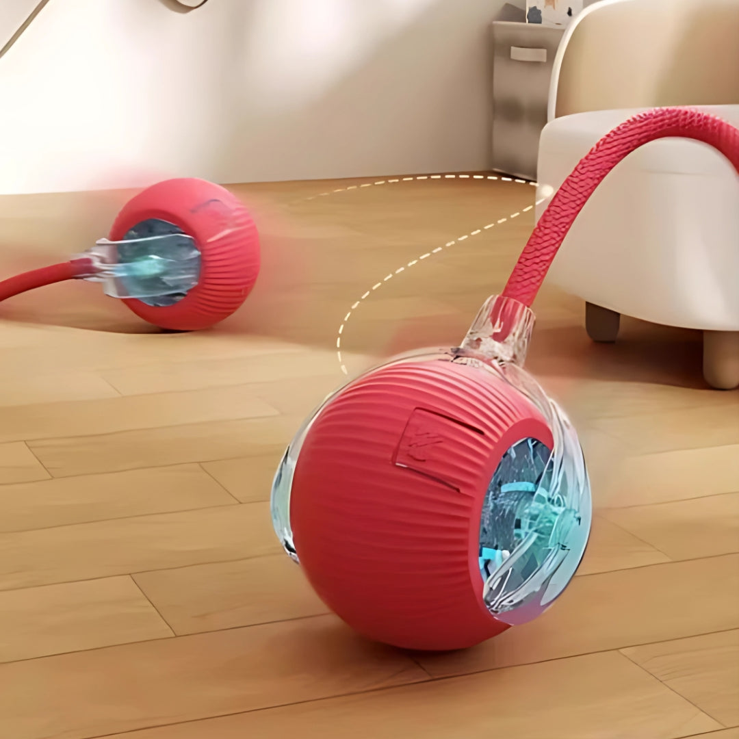 Jouet serpent interactif rouge pour chat en plein mouvement sur un sol en bois, montrant une trajectoire sinueuse réaliste et des globes lumineux intégrés.