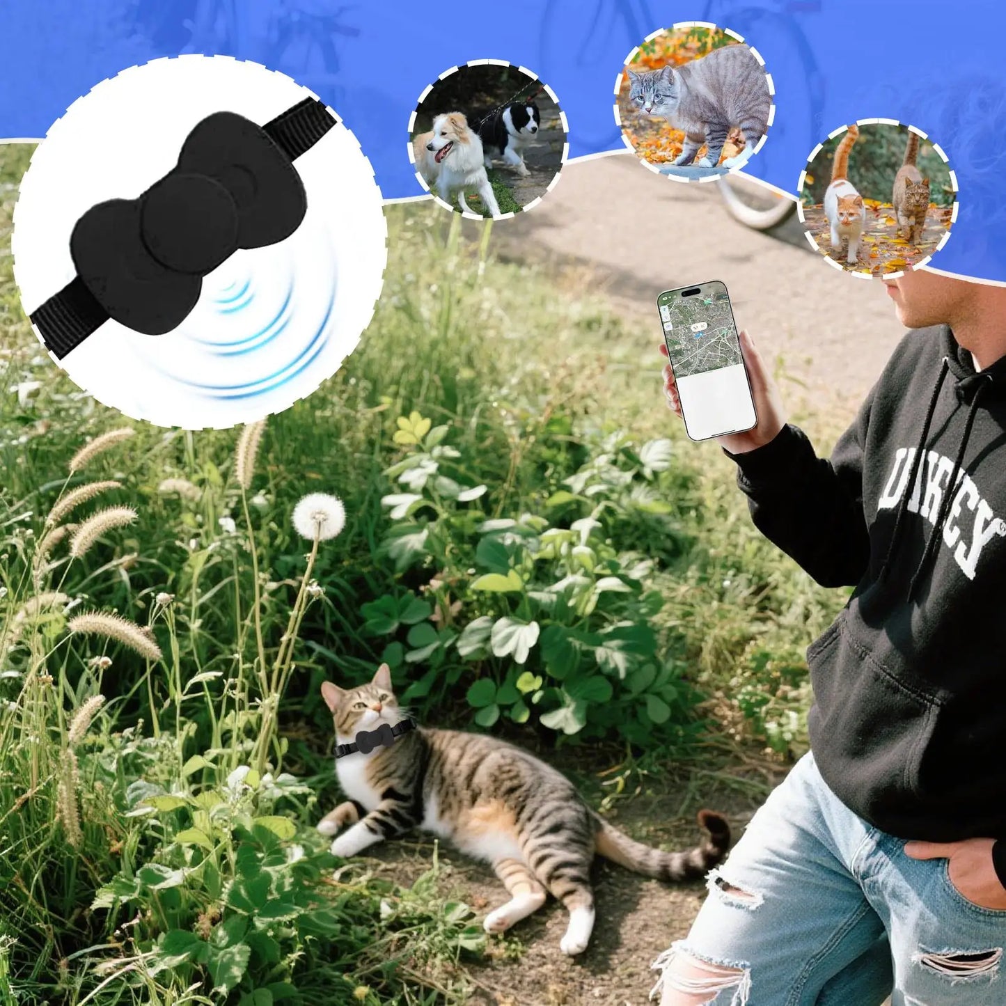 Localisation précise avec le collier gps pour chat noir : application smartphone affichant la carte en temps réel. Chat tigré en extérieur portant ce collier gps chat sécurisé. Visuel montrant l'efficacité sur chats et chiens. Une solution fiable type collier gps à chat bureau avec support AirTag en forme de nœud papillon pour le suivi GPS.