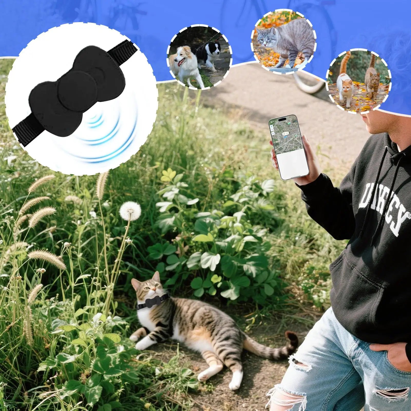 Localisation précise avec le collier gps pour chat noir : application smartphone affichant la carte en temps réel. Chat tigré en extérieur portant ce collier gps chat sécurisé. Visuel montrant l'efficacité sur chats et chiens. Une solution fiable type collier gps à chat bureau avec support AirTag en forme de nœud papillon pour le suivi GPS.